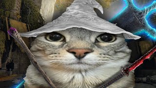 Elden Ring Lore Explained… With Cats!