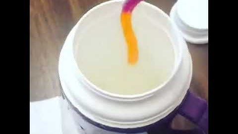 Ductile to Brittle Transition of jellyworms (and other materials)