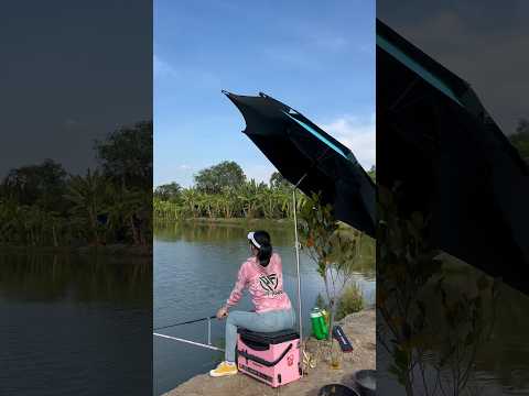 Điểm câu mới P2 #caucathiennhien #fishing #giaitri #cá #caucagiaitri #mayfishing