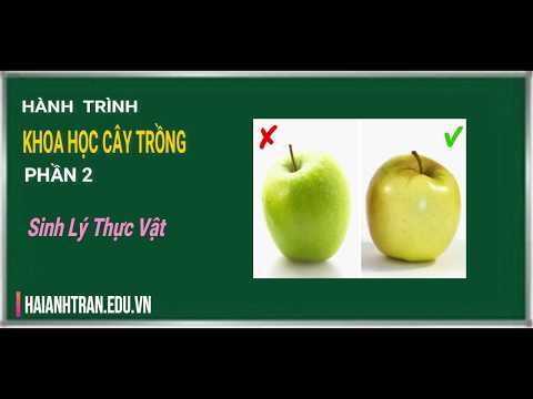 Video: Các loại xử lý thực vật là gì?