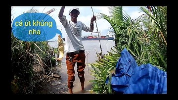 chuyến câu Sông Lòng Tàu cần giờ và cái kết là một bầy cá ÚT chà bá bự | điểm câu cá lý tưởng