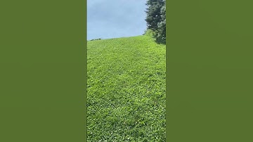 Penance for jQuery #jquery #javascript #coding #comedy #softwareengineering