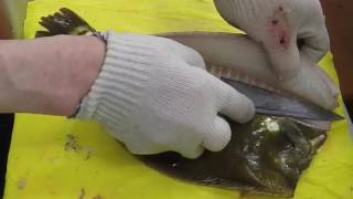 Preparing Sliced Raw Fish(광어 회뜨는 장면)