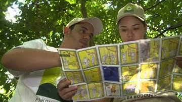 Measuring biodiversity made easy | short version |