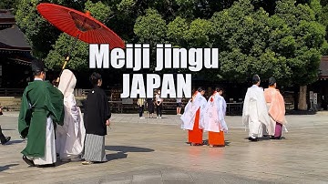 【4K】明治神宮 結婚式 Meiji jingu/Japanese Wedding東京 散歩  walking in the city of TOKYO JAPAN/  WALKING TOUR