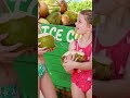 Family Caribbean vacation - for $30