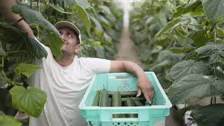 Can full-time farmers in Gozo compete and survive?