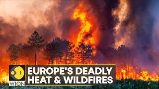WION Climate Tracker | Europe's record breaking temperatures | Heat made worse by climate change Wealth