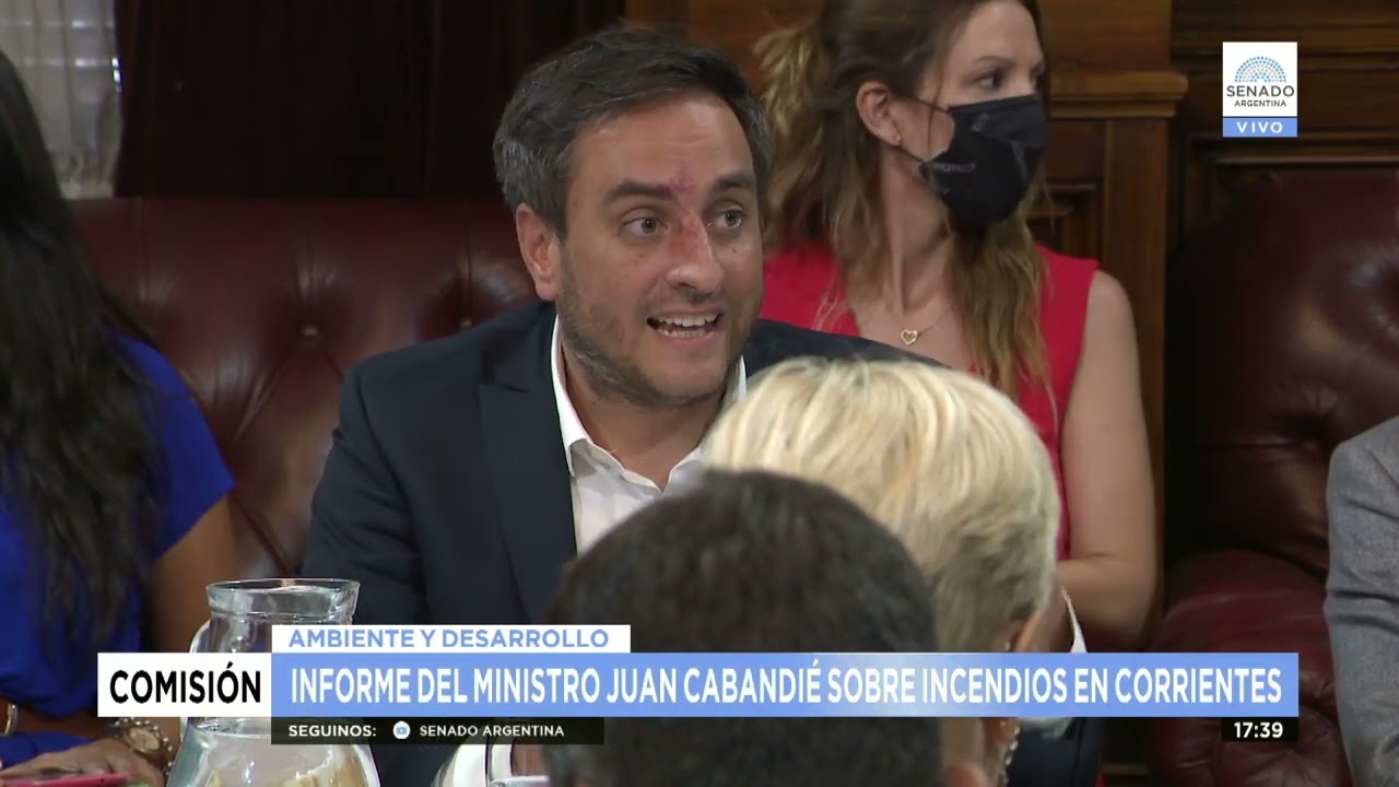 INTERVENCION MTRO.JUAN CABANDIÉ - COMISIÓN DE AMBIENTE 23-02-22