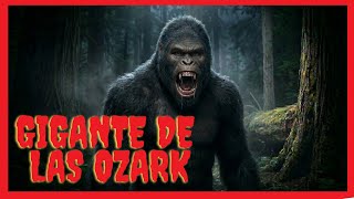 GIGANTE DE LAS OZARK 