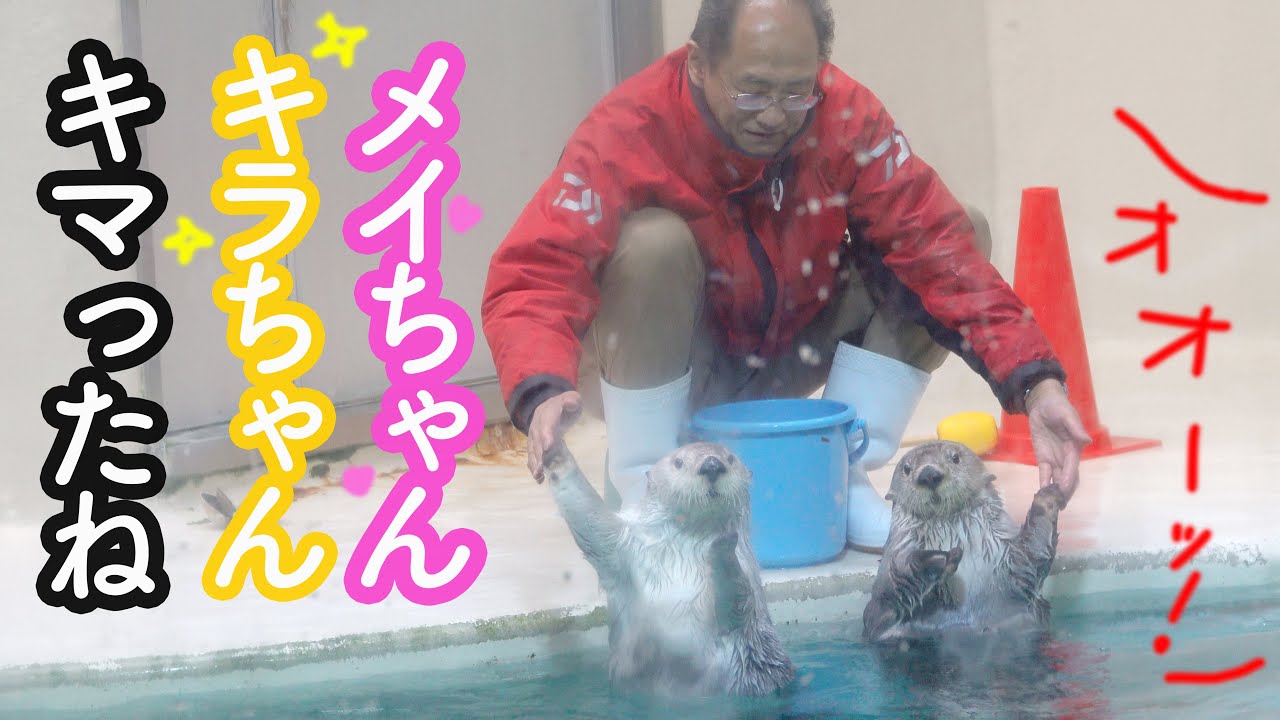 おじさん飼育員さん
