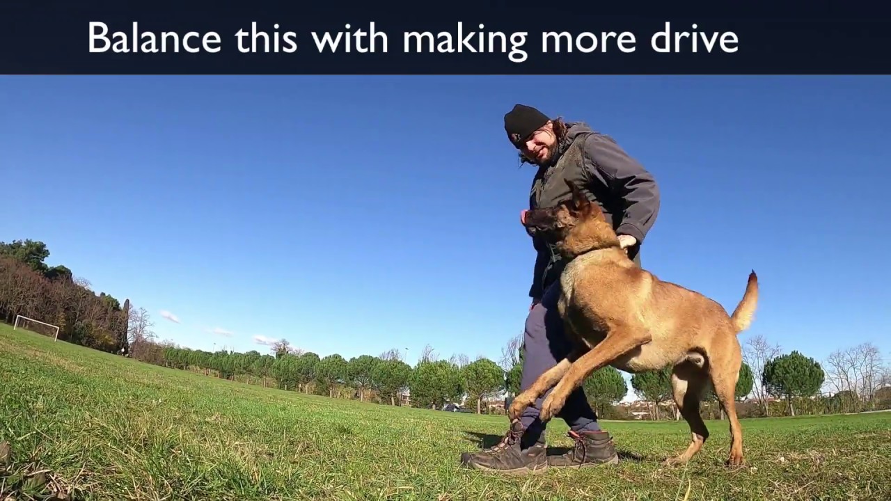 The Dumbbell Throw! YouTube