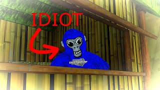 Gorilla tag beach gave me brain damage😟😟