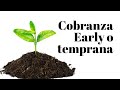 8. Cobranza Early o temprana