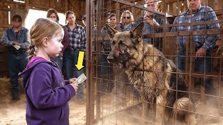 Download Lagu Een verlaten politiehond werd voor $1 verkocht — Wat het kleine meisje deed schokte iedereen! MP3