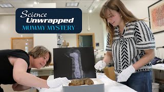 Science Unwrapped—Mummy Mystery