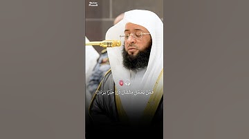 تلاوة رائعة من القاريء بدر التركي | سورة الزلزلة