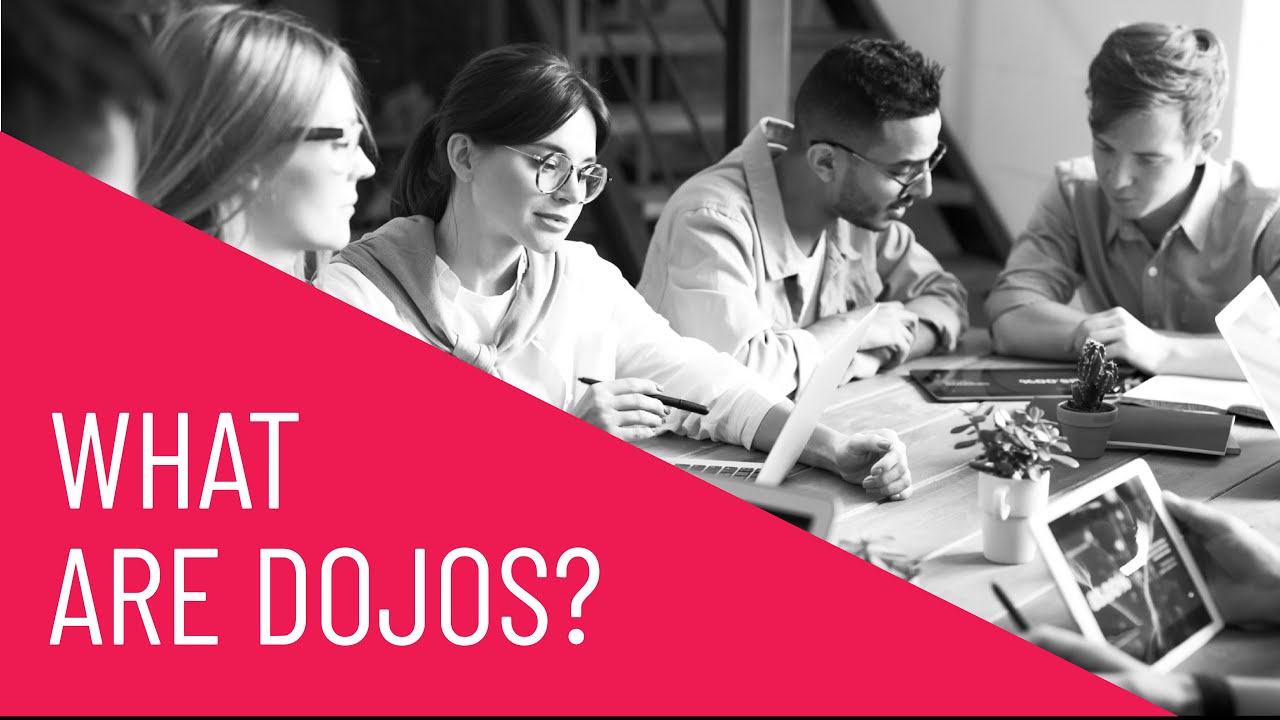 What Are Dojos? - YouTube