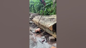 Ứng dụng đặc biệt của gỗ cẩm hồng | Sơn Sập Gỗ #sonsapgo #gocamhong