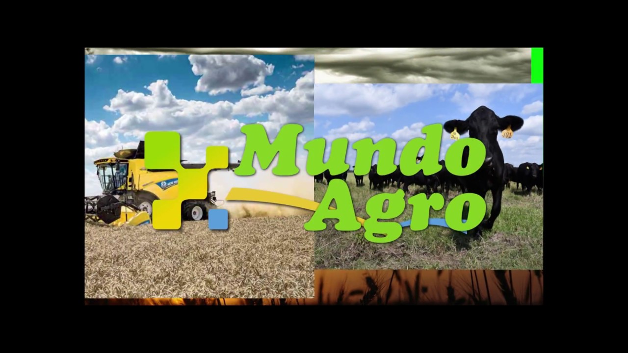 Mundo Agro Cba Youtube 