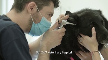 The Veterinary Medicine Campus of the University of Milan