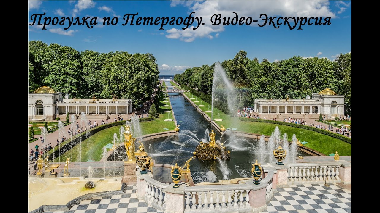 Вест сервис петергоф