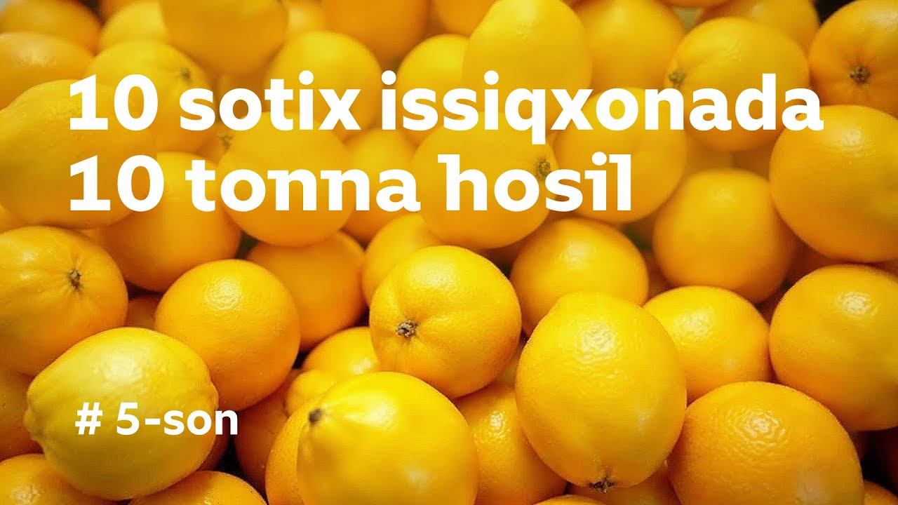 LIMONdan MILLION qilayotgan yurtdoshimiz #5 MENING TOMORQAM / BUXORO