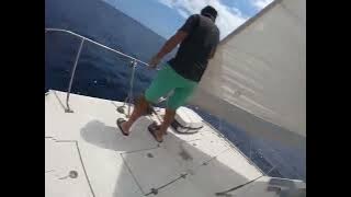 471318701 8726375584138982 4752563509429975723 n