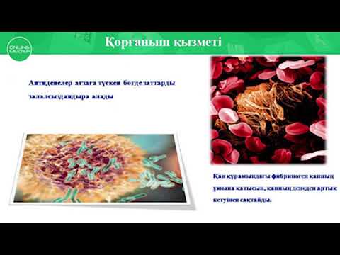 Анальды секс үшін ең жақсы заттар Трус пен шұлық үйдегі порно