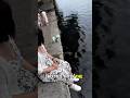 A Dog's Reaction to River pollution left people stunned 😱।#shorts