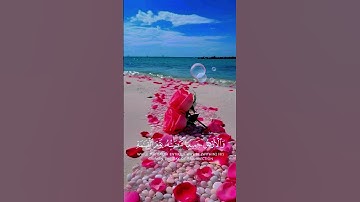 سورة ال عمران #اكسبلور #حالات_واتس #راحه_نفسيه