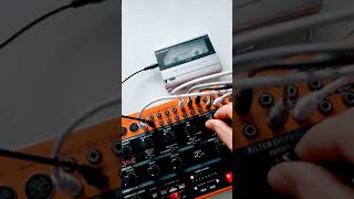Tape loop and Behringer Crave Bass experimental sound #Shorts semi modular