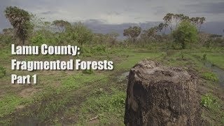 Lamu County: Fragmented Forests  Part 1