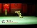 Shaolin kung fu forms  animal kung fu  dog boxing