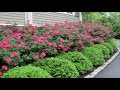 Small Front Yard Landscaping Ideas | Garden Design Ideas | Great Ideas For You