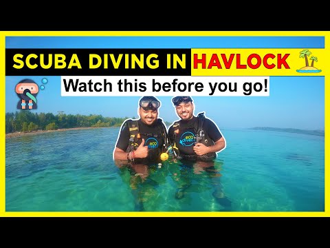 Scuba Diving in Andaman: Discovering the Underwater world of Havelock Island