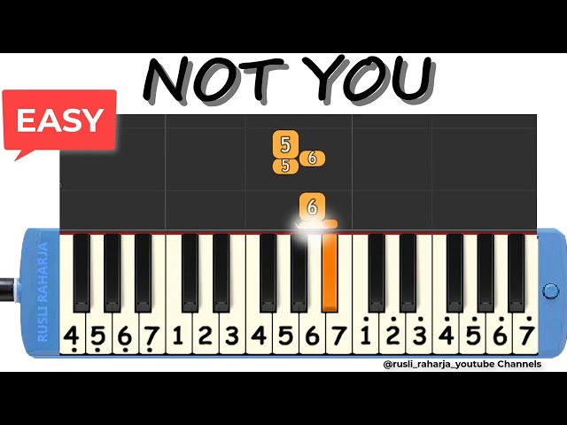 Not You not pianika class=