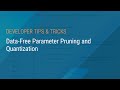 Data-Free Parameter Pruning and Quantization