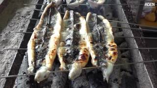 Japanese Street Food at Fishing Port: Tempura, Octopus, Grilled Eel