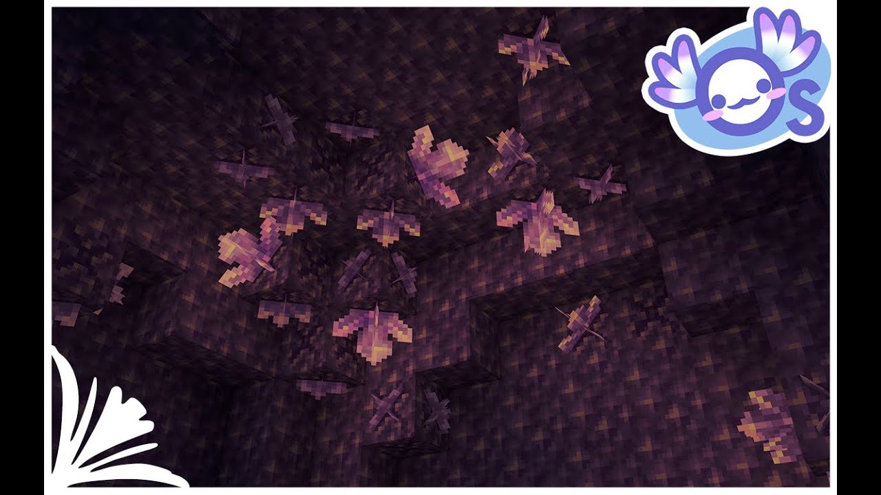 Os' Fully Grown Amethyst Cluster Indicator