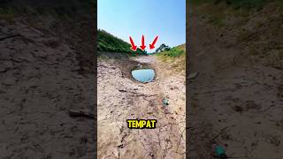 Cari Ikan Menguras Kubangan Hasilnya Bikin Kaget