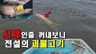 떠밀려온 시체인줄 알았는데...1미터가 넘는 전설의 괴물고기가 잡혔습니다ㄷㄷ