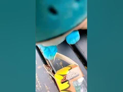 funko pop mudkip
