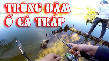 Địa Điểm Câu Hanh ( Tráp) - Lure Cá Đầm TỰ NHIÊN - Câu Ngay Ổ Cá Tráp ║Minh Fishing