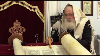 Semne şi simboluri evreieşti: Torah