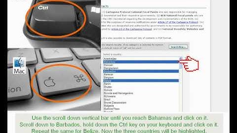 BCH Tutorial 3 English - Finding Information