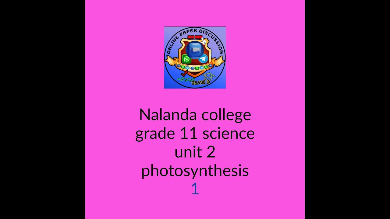 Online P D Nalanda College Grade 11 Science Unit 2 Photosynthesis Online p d nalanda college grade 11 science unit 2 photosynthesis