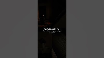 اكتب شيء تؤجر عليه 😴🩶 قران كريم | ياسر الدوسري
