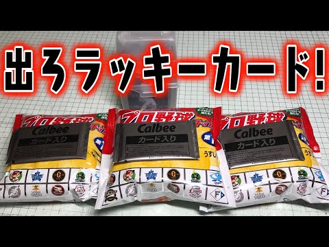 ラッキーカード強すぎる！ 2024 プロ野球チップス 開封レビュー
