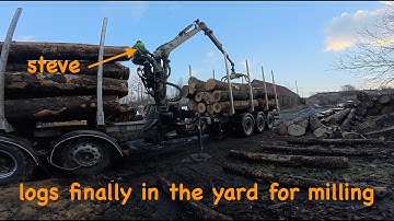 Oversized Ash logs finally in the yard - milling wood